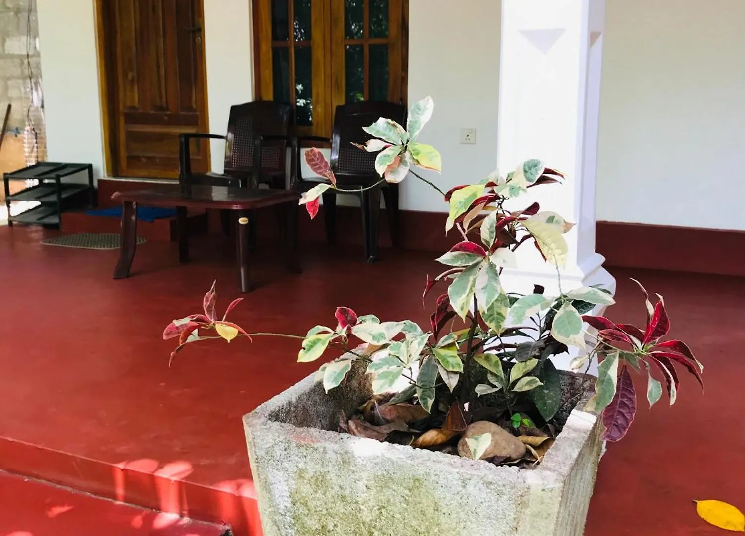 Homestay Sigiri Mihira Home Stay Sigiriya Sri Lanka