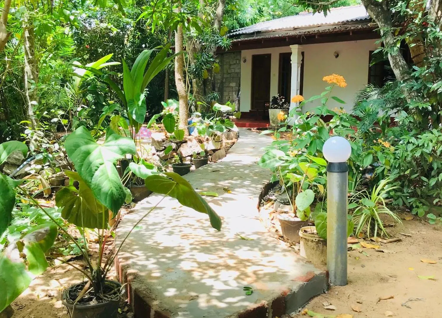 Sigiri Mihira Home Stay Sigiriya