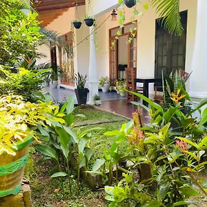 Fairview Dill Sigiriya